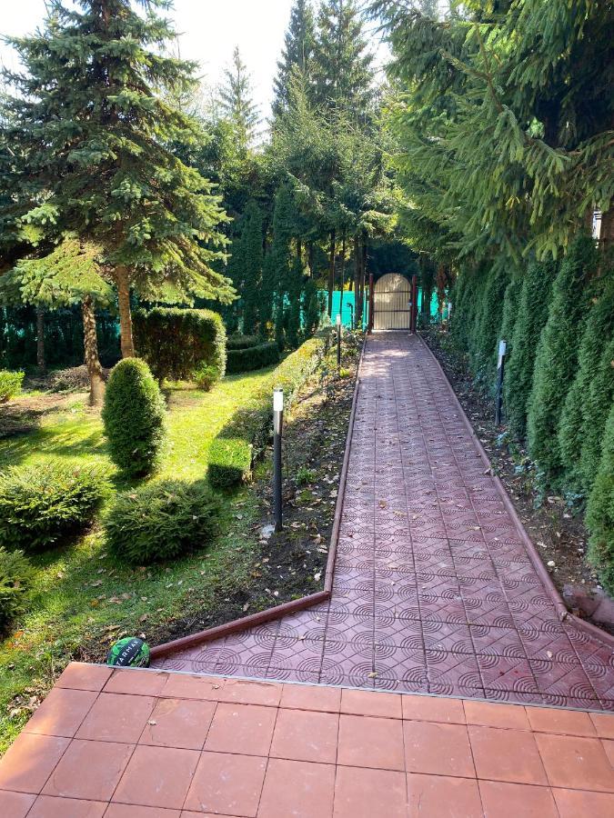 Vila Phoenix Aparthotel Predeal Exterior photo